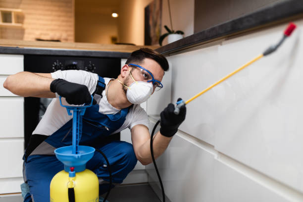 Professional Pest Control in Madison, IN