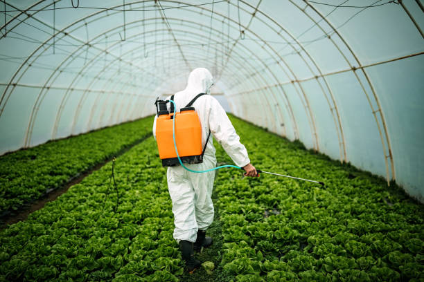 Best Pest Removal Services  in Madison, IN