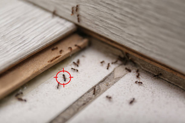 Best Commercial Pest Control Services  in Madison, IN