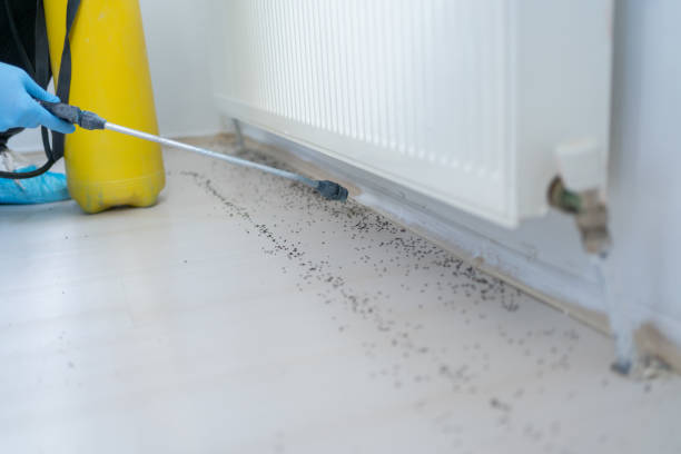 Best Cockroach Control Services  in Madison, IN